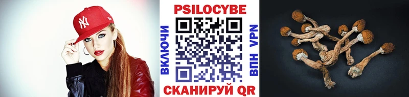 Галлюциногенные грибы Magic Shrooms  Петропавловск-Камчатский 